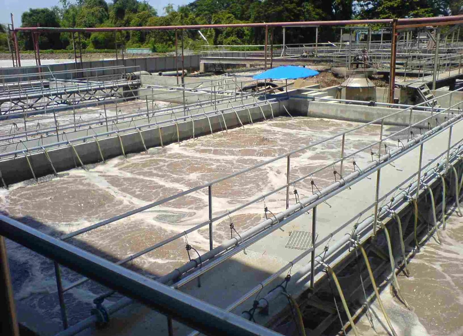 nuoc tu tram cap nuoc Sử dụng nước đầu nguồn nào cho gia đình an toàn nhất hiện nay? Thế Giới Lọc Tổng