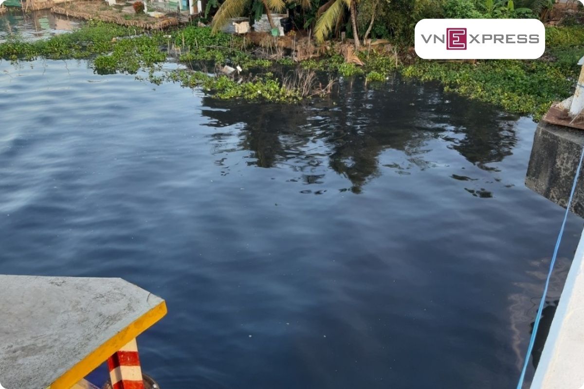 Báo Dân Trí đưa tin: “Nước sông đen ngòm, cá chết hàng loạt, dân khốn khổ vì mất nước sinh hoạt”