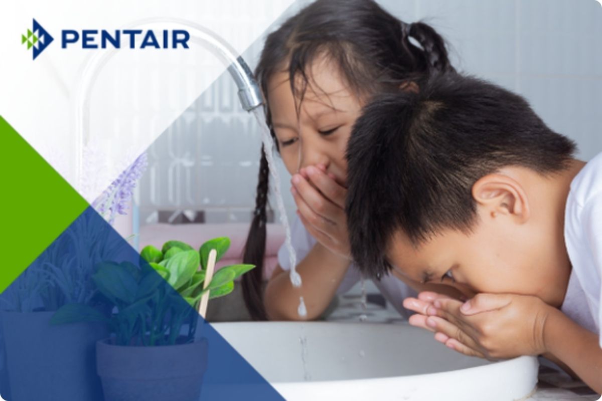 Cẩm nang chọn bộ lọc tổng để bảo vệ người thân và không gian sống