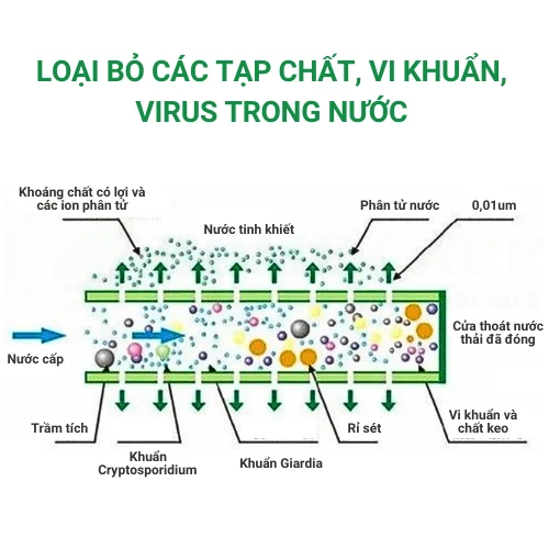 Bộ lọc tổng đầu nguồn GE Homespring 3000V 24 Nguồn nước đi qua bộ lọc sẽ được loại bỏ tối đa các tạp chất, vi khuẩn, cặn bẩn,...