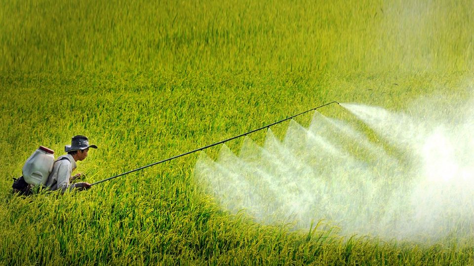 Thuốc trừ sâu trong nước là gì?