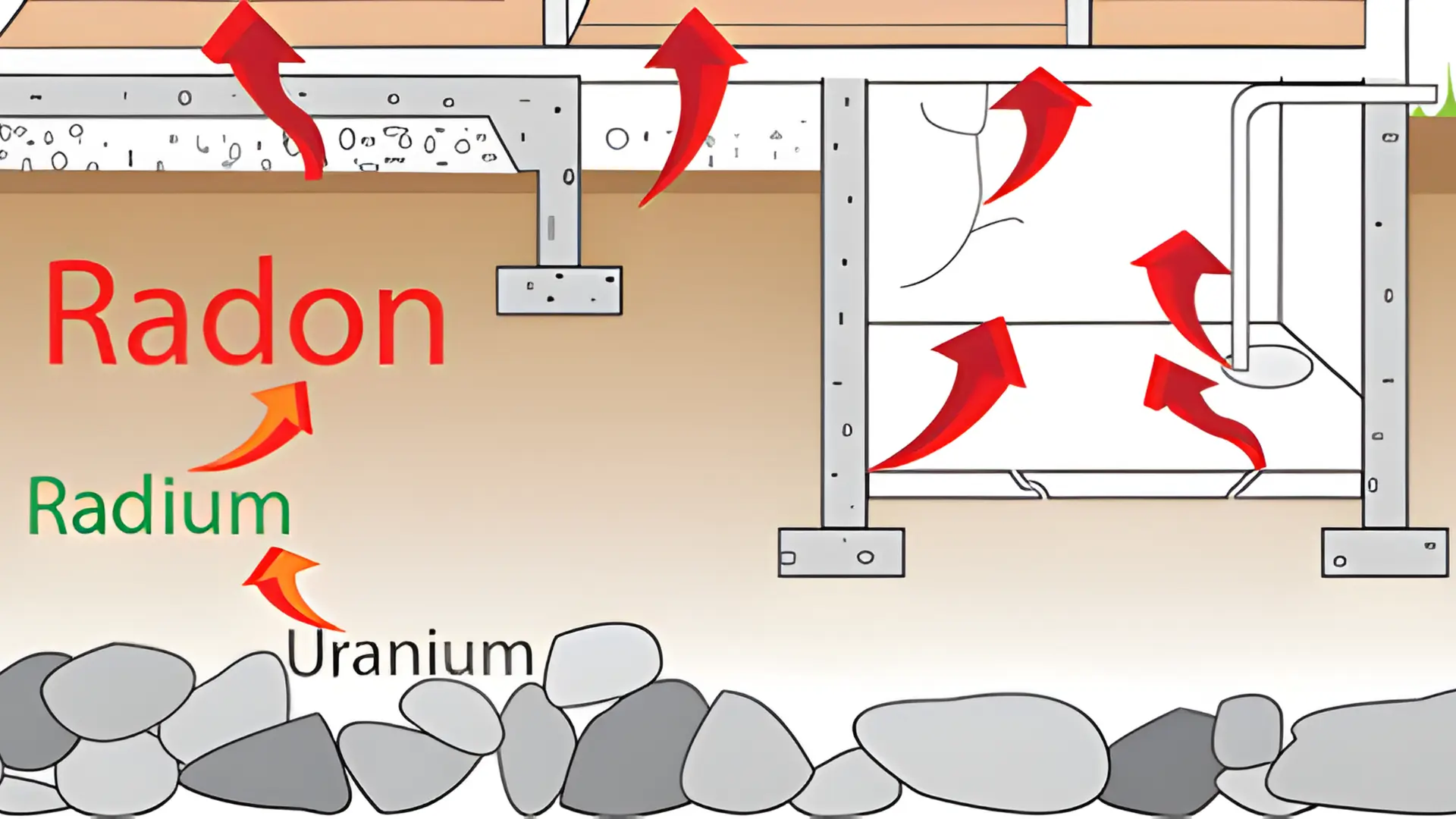 Radi tích tụ trong mô xương (bắt chước canxi), làm tăng nguy cơ ung thư xương