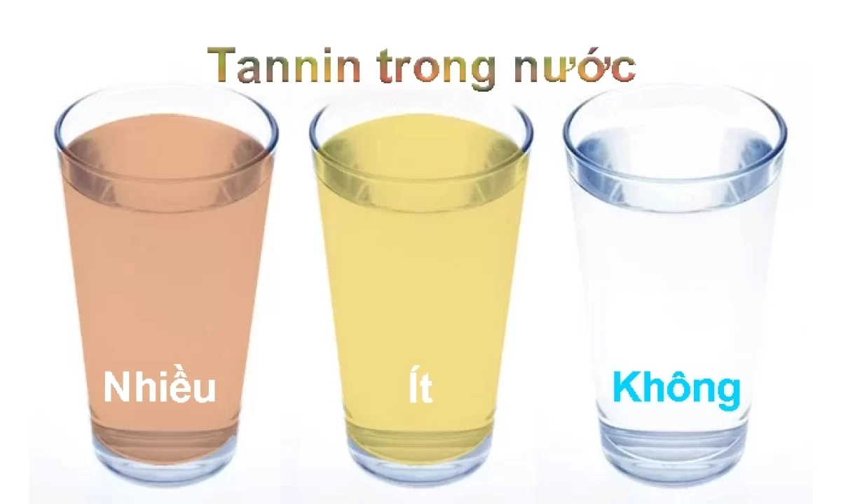 tannins trong nuoc 1200x720 1 Tanin trong nước có tác hại như thế nào? Cách xử lý hiệu quả Thế Giới Lọc Tổng