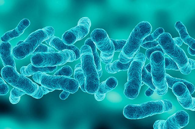 Legionella là một vi khuẩn gây bệnh sống trong nguồn nước bị ô nhiễm