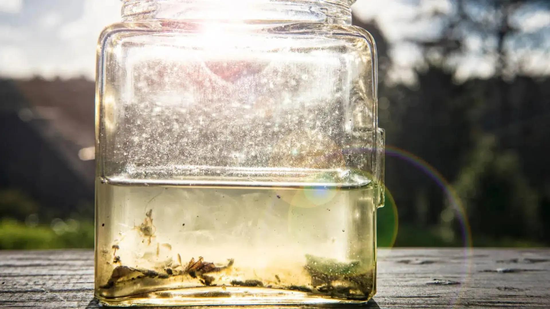 Nitrat tồn tại tự nhiên trong môi trường, chủ yếu hình thành từ quá trình phân hủy protein, phân gia súc, nước tiểu và các hợp chất chứa nitơ khác