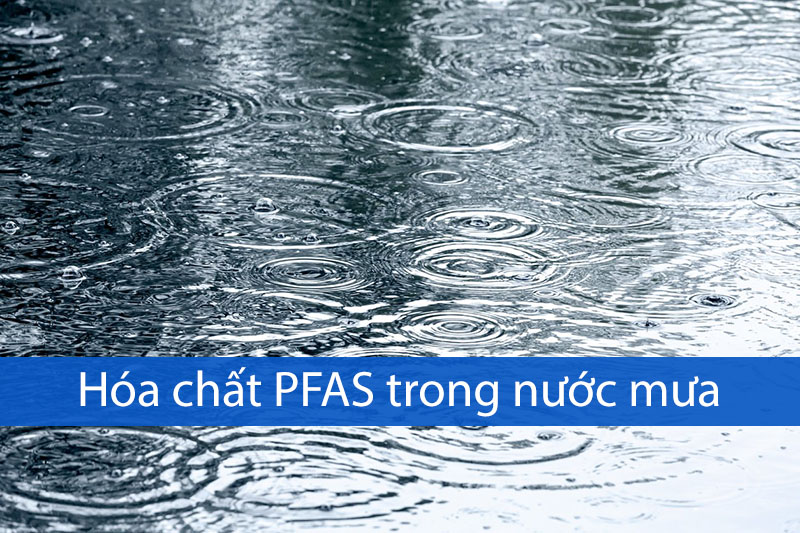 PFCs (Perflourochemicals)/PFAS có trong nước mưa