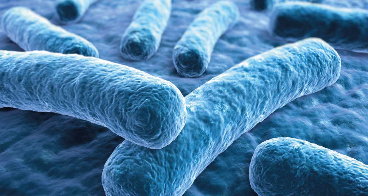 Legionella trong nước – Nguy cơ tiềm ẩn và giải pháp cho nguồn nước tại việt nam